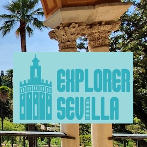 banner_3_explorer